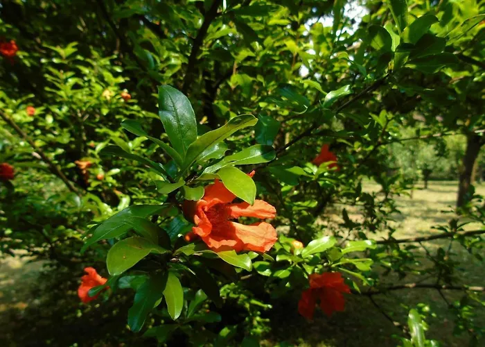 Cascina Cavalli Astino