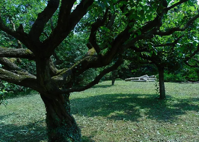 別荘 Cascina Cavalli Astino