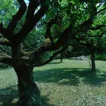 펜션 Cascina Cavalli Astino